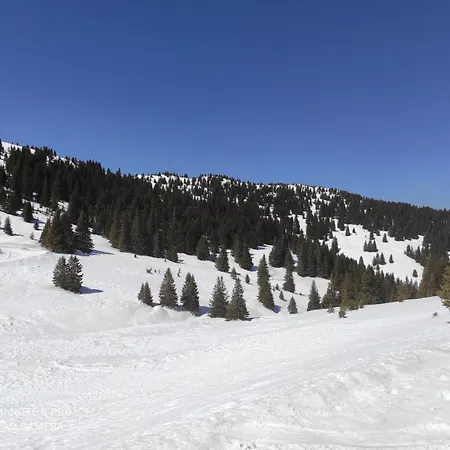 아파트 Panorama Eurydice Stoykite