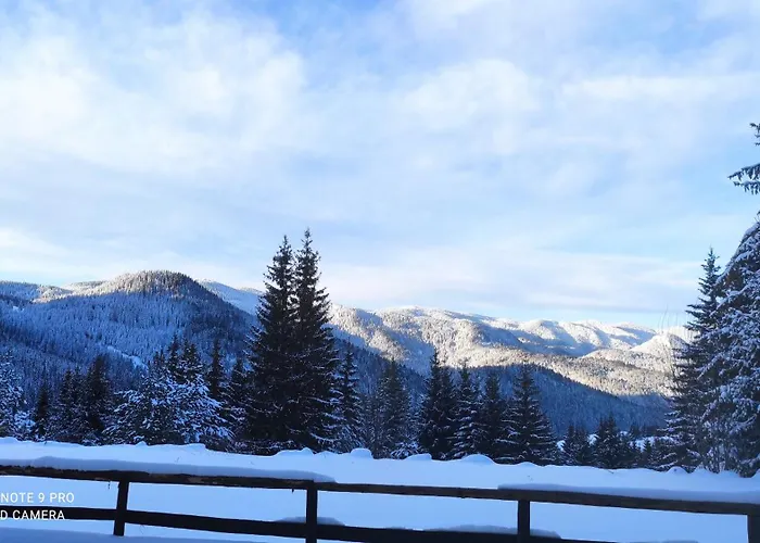 Panorama Eurydice * Stoykite